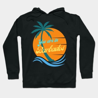 You Are In Barbados | Island | Neville Goddard Quotes Hoodie